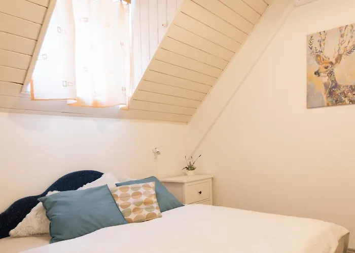 House Apartament